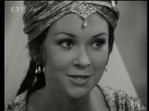 Měsíční kámen (1973)
