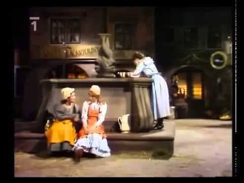 Pohádka o mokrosuchém štěstí (1981)