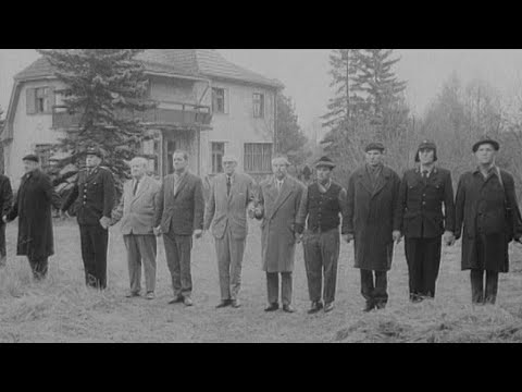 Zahrada (1968)