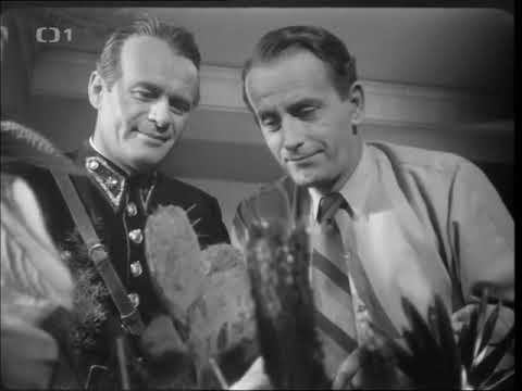 Svědomí (1948)